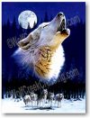 Wolf Art Print