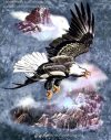 Freedom Eagle