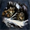 Timber Wolves Shirt