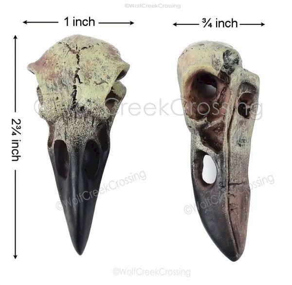 Raven Skull Necklace