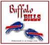 bills post earrings