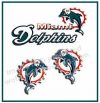 Miami Dolphins Earrings
