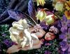 Fairy Sleeps Art Print