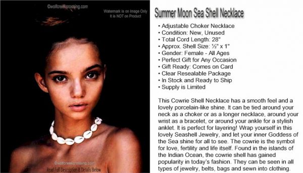 Seashell Necklace
