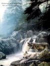 Wolves Art Wolf